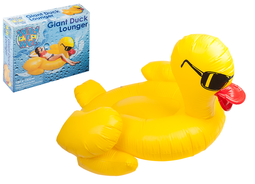 Novelty Pool Loungers