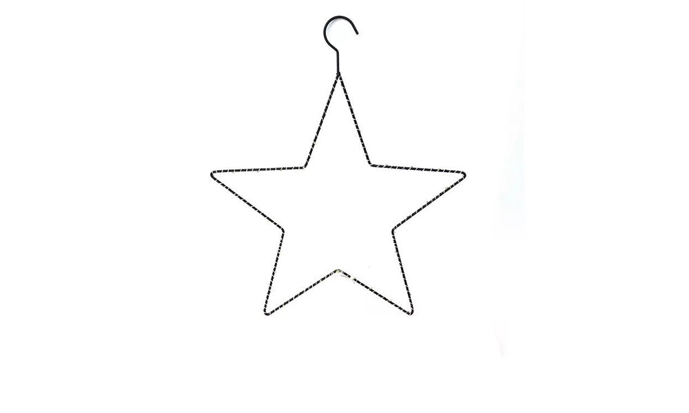 40 LED Hanging Star