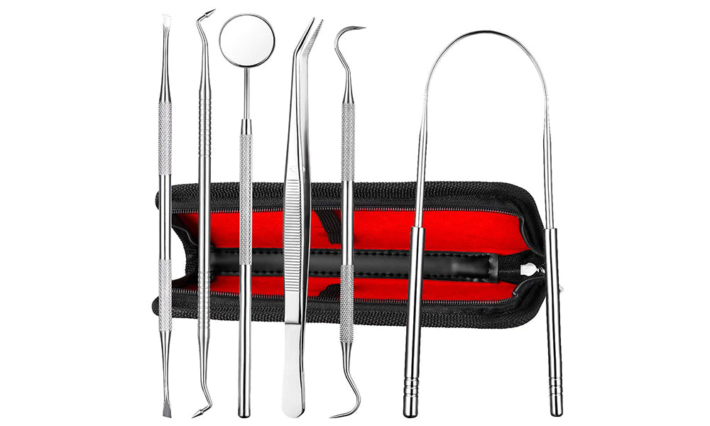 6 Piece Profession Oral Hygiene Dental Kit