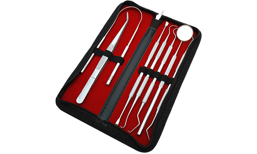 6 Piece Profession Oral Hygiene Dental Kit