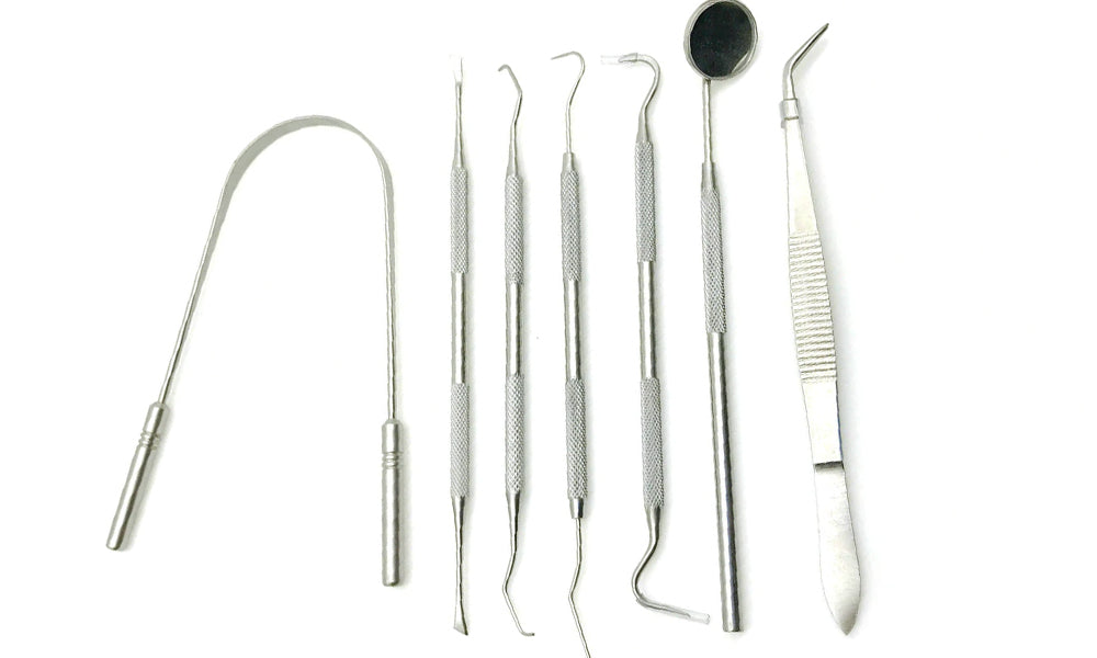 6 Piece Profession Oral Hygiene Dental Kit
