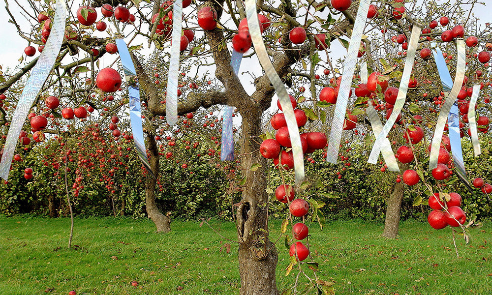 38 Meter Bird Repellent Scare Tape