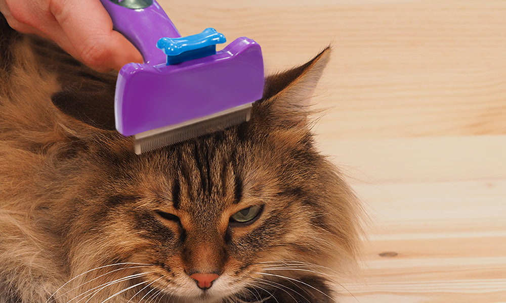 Cat Hair Deshedding Tool