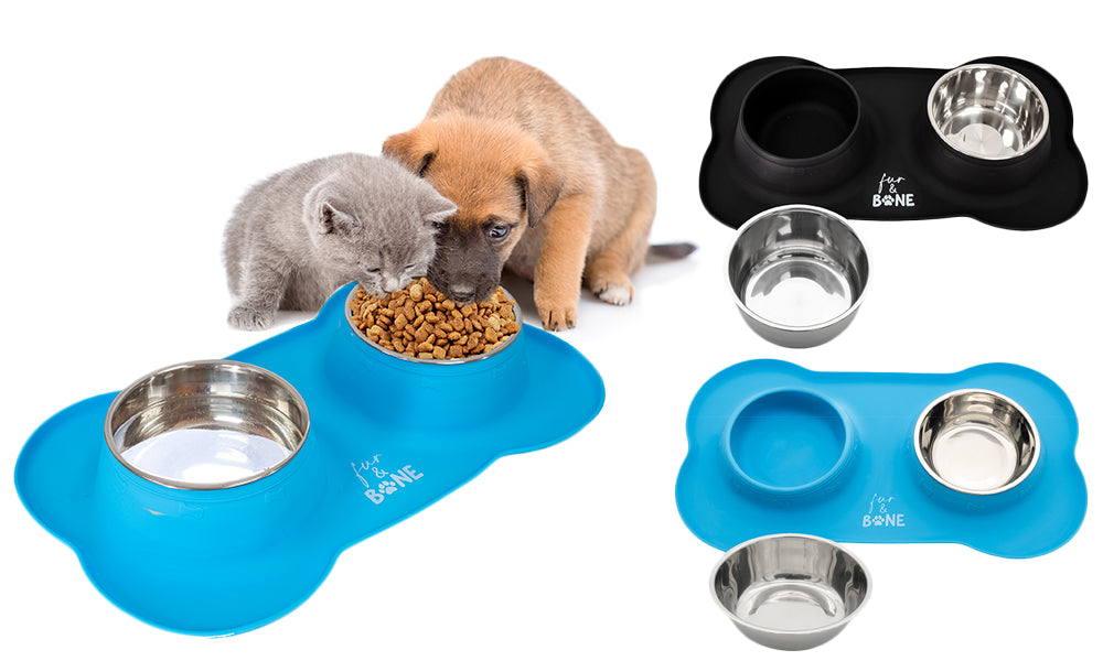 Silicone Non Slip Double Pet Bowls