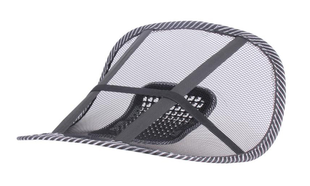 Mesh Lumbar Support and Massager