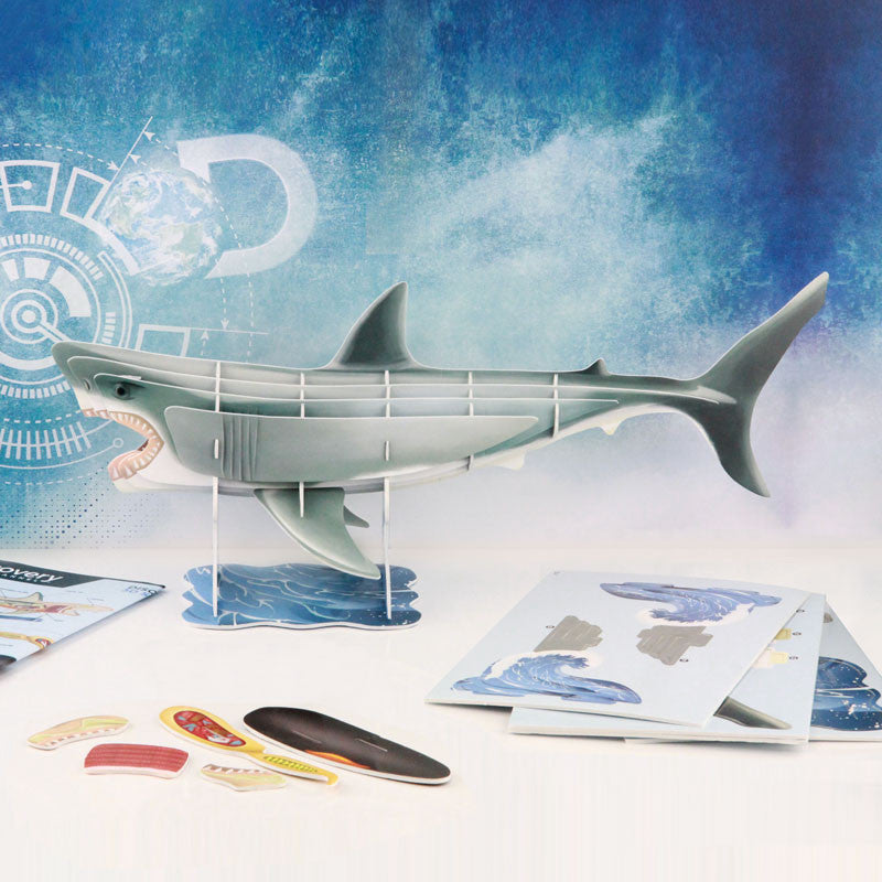 DISCOVERY CHANNEL 3D SHARK ANATOMY MODEL