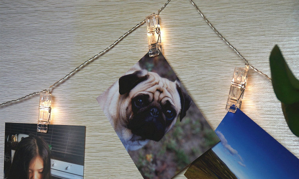 Battery Operated 10 LED Peg String Lights