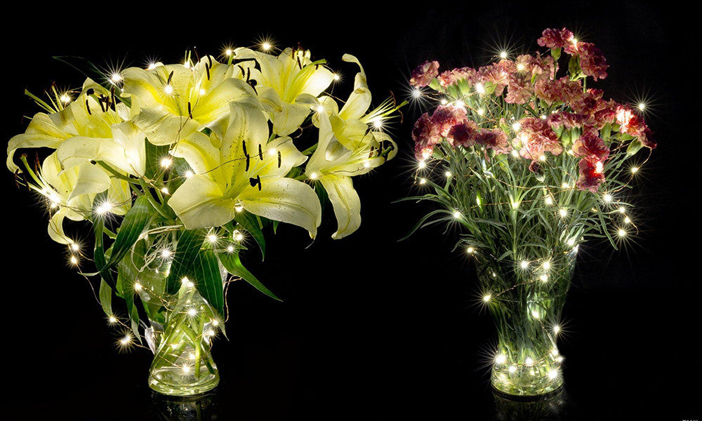 20 LED Silver or Copper Wire Battery Operated Fairy String Lights