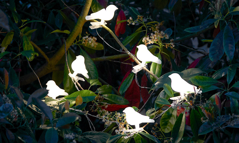 GloBrite 6pck Solar Bird Tree Clip On Lights
