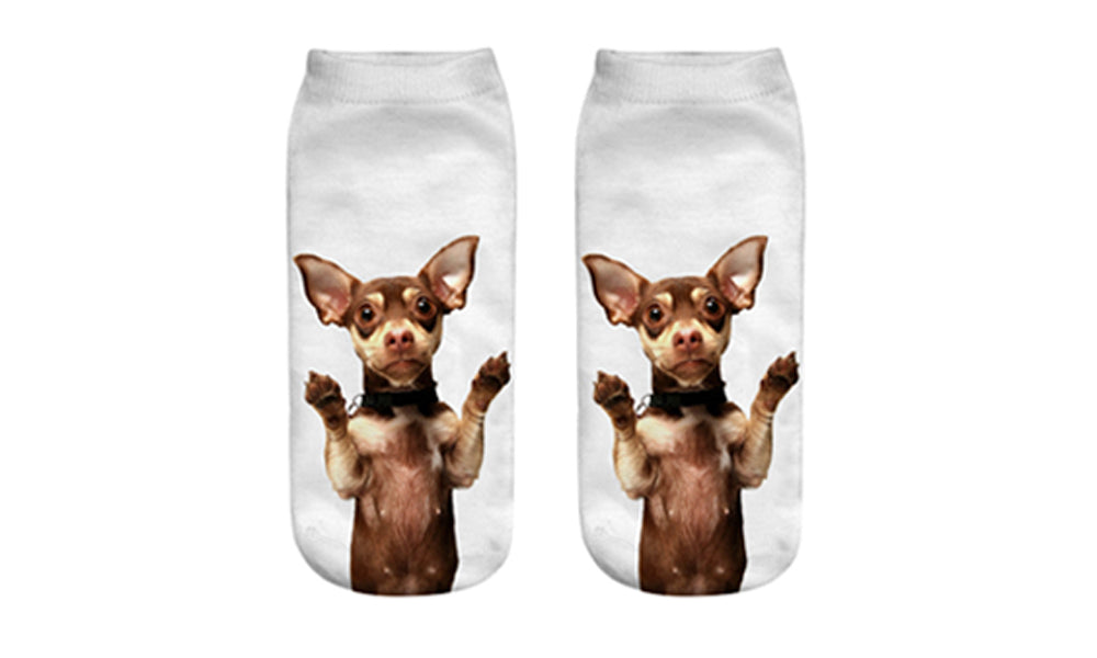 Printed Dog Socks (2pack)