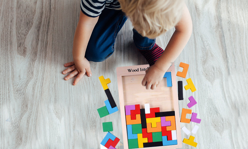 Wooden Multicolour Educational Brain-teasing Puzzle