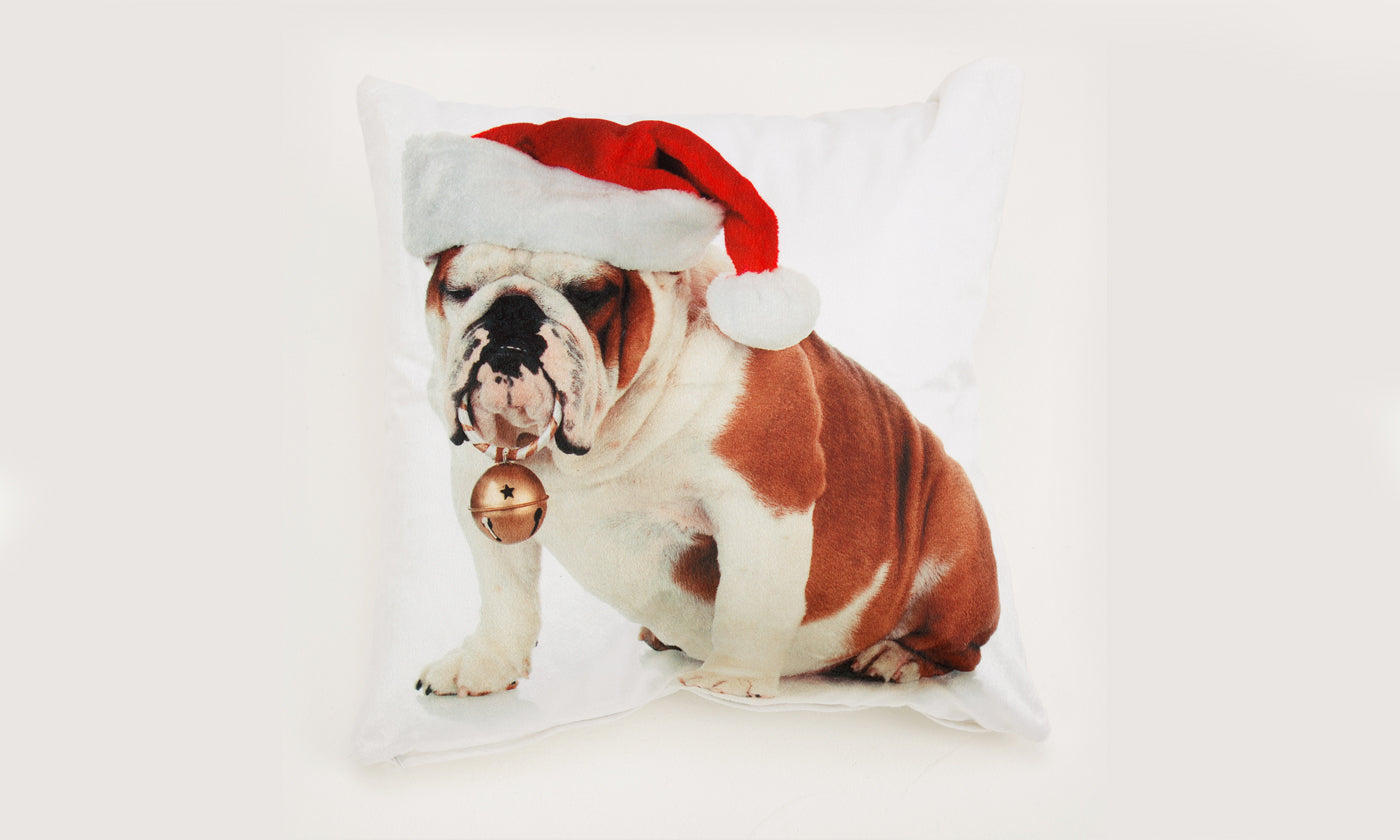 Rapport Christmas Cushion Covers