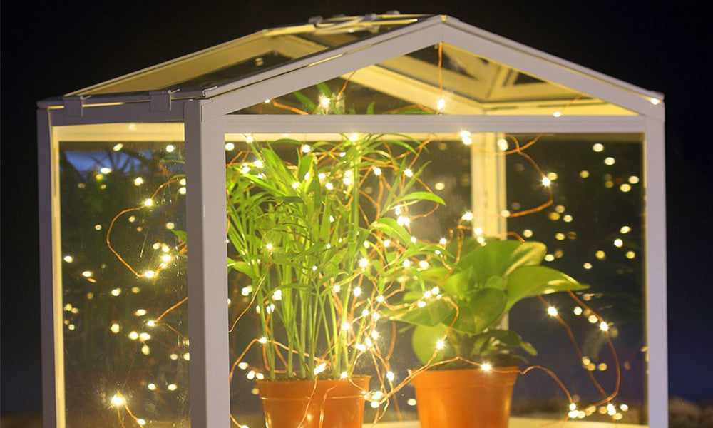 GloBrite 50, 100, 200 LED Copper String Solar Lights