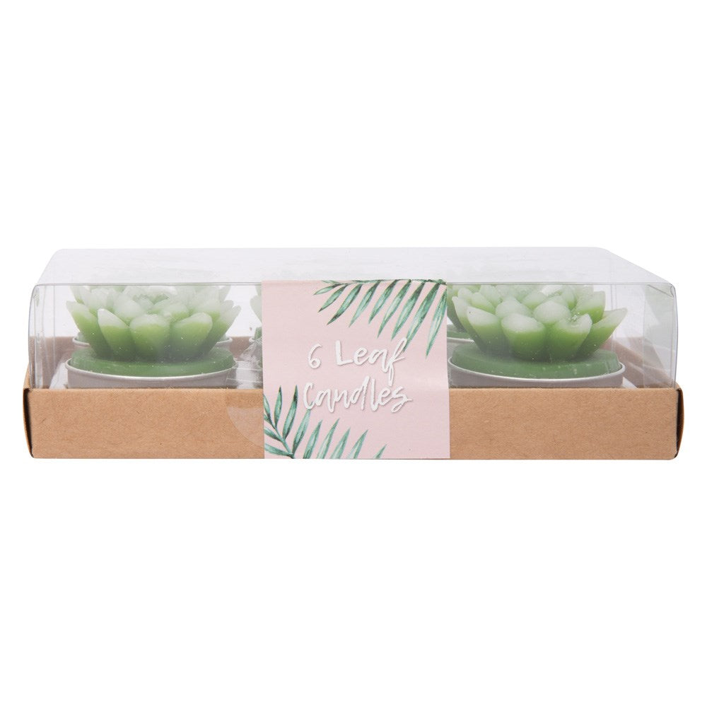 Tropical Tealights